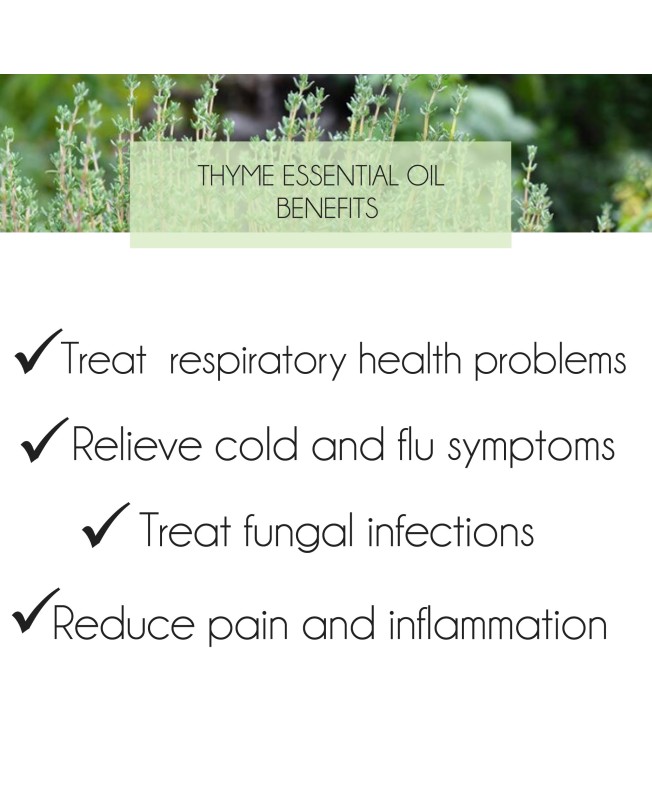 Buy Thyme Oil Online Australia And Enjoy The Skin Hair Benefits Of Thyme