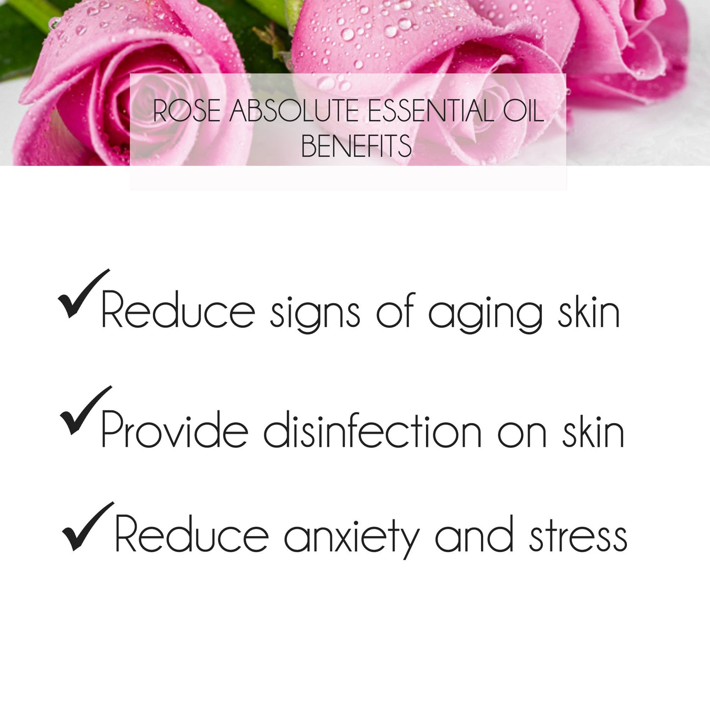 Rose Essential Oil 3% 10ml. Rosa damascena