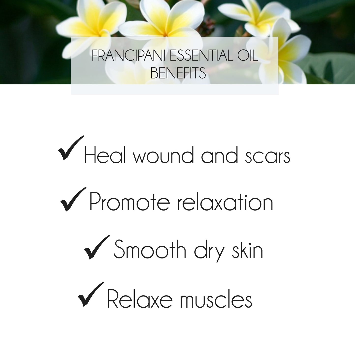 Frangipani Essential Oil 3% 10ml