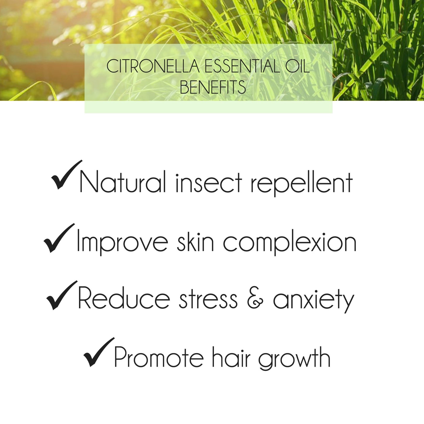 Citronella Essential Oil 10ml