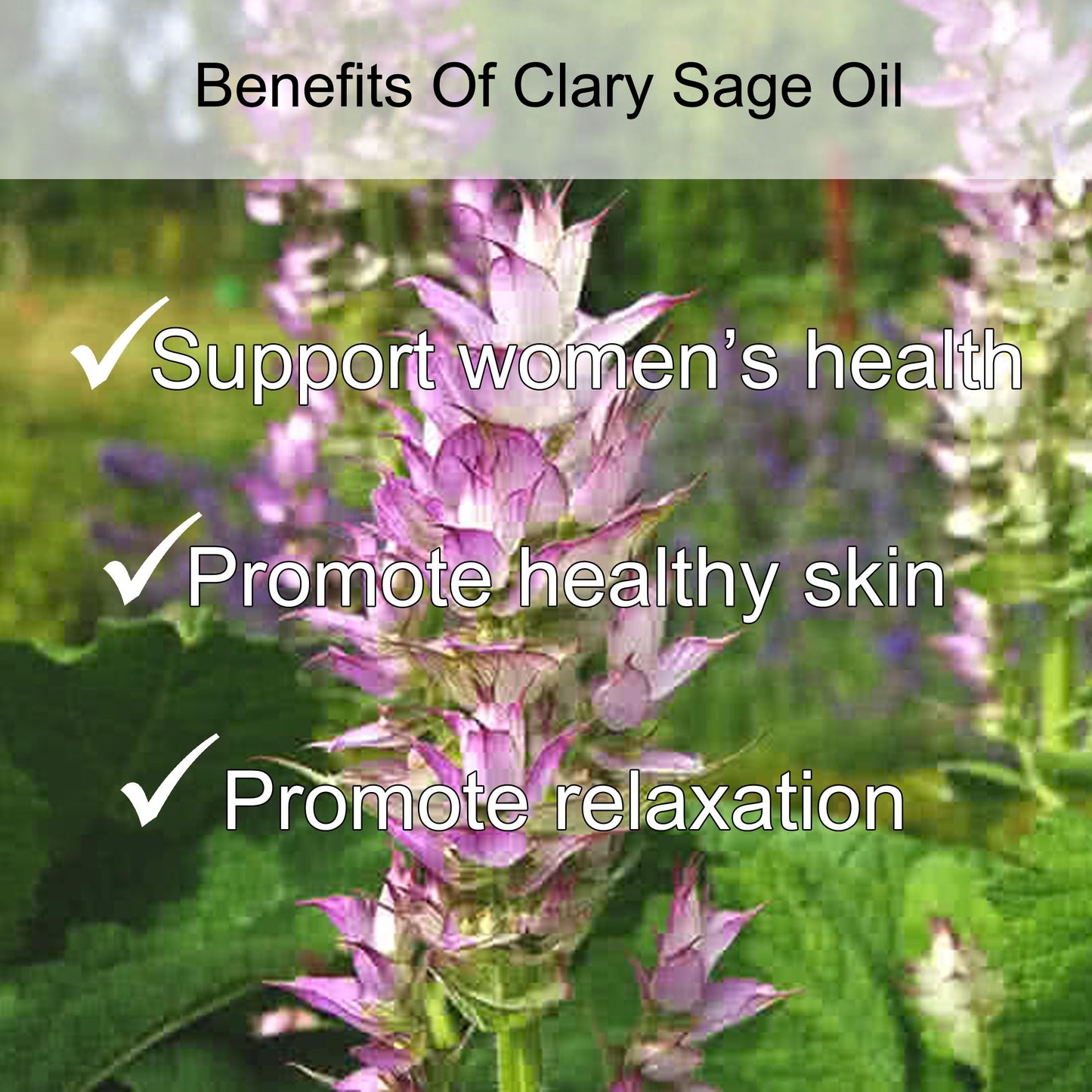 Clary Sage Essential Oil 10ml