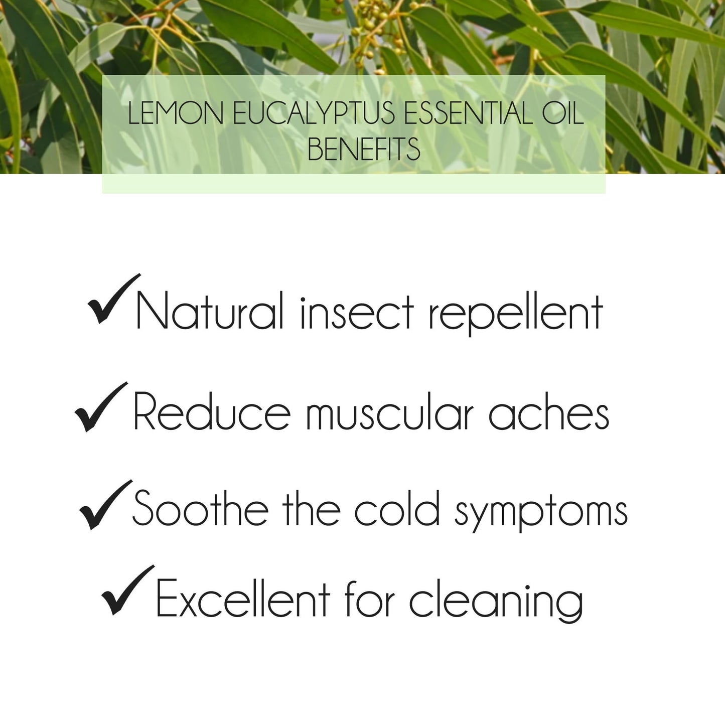 Lemon Eucalyptus Essential Oil 10ml