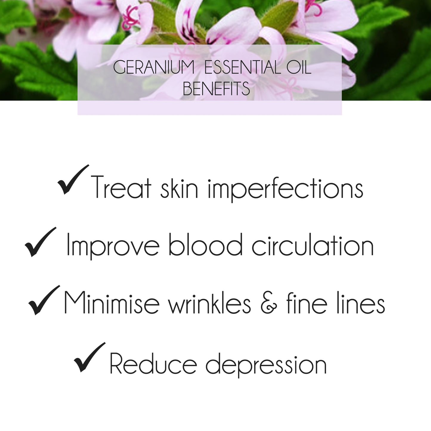 Geranium Essential Oil 10ml