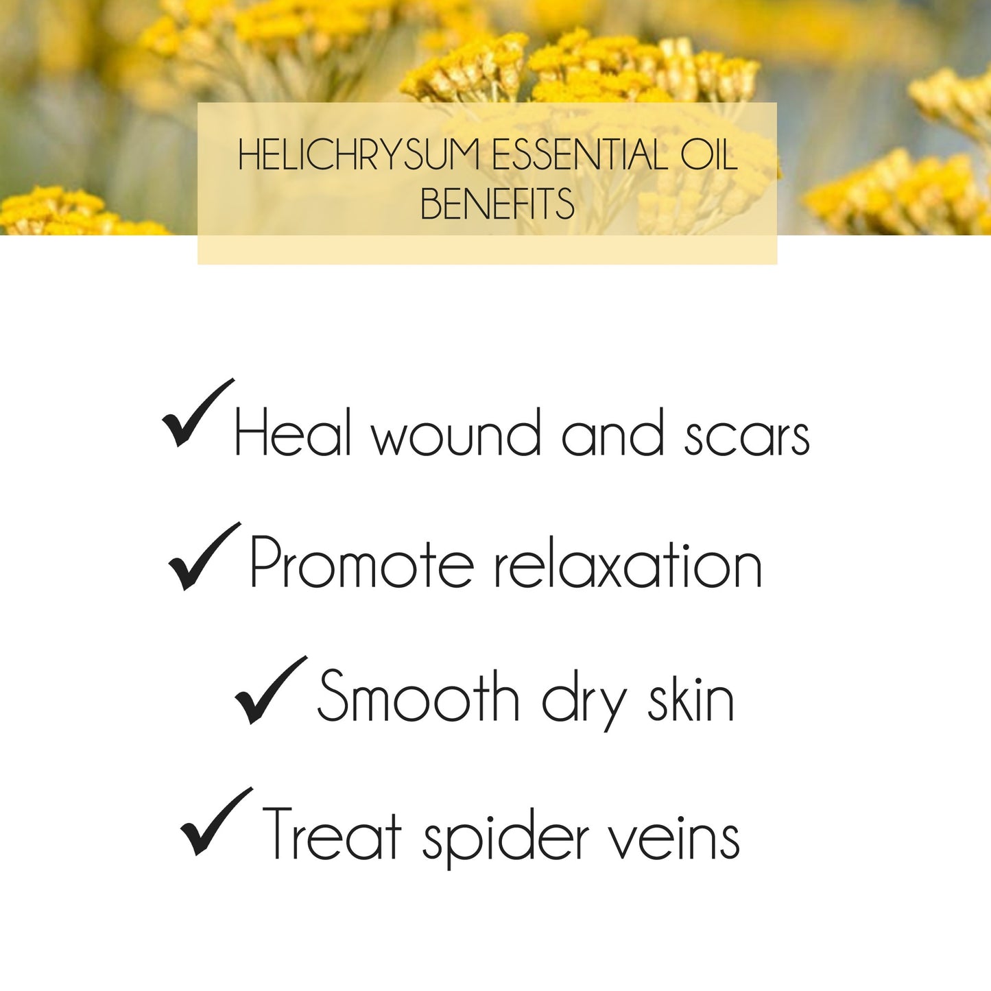 Helichrysum Essential Oil 10ml. Helichrysum italicum