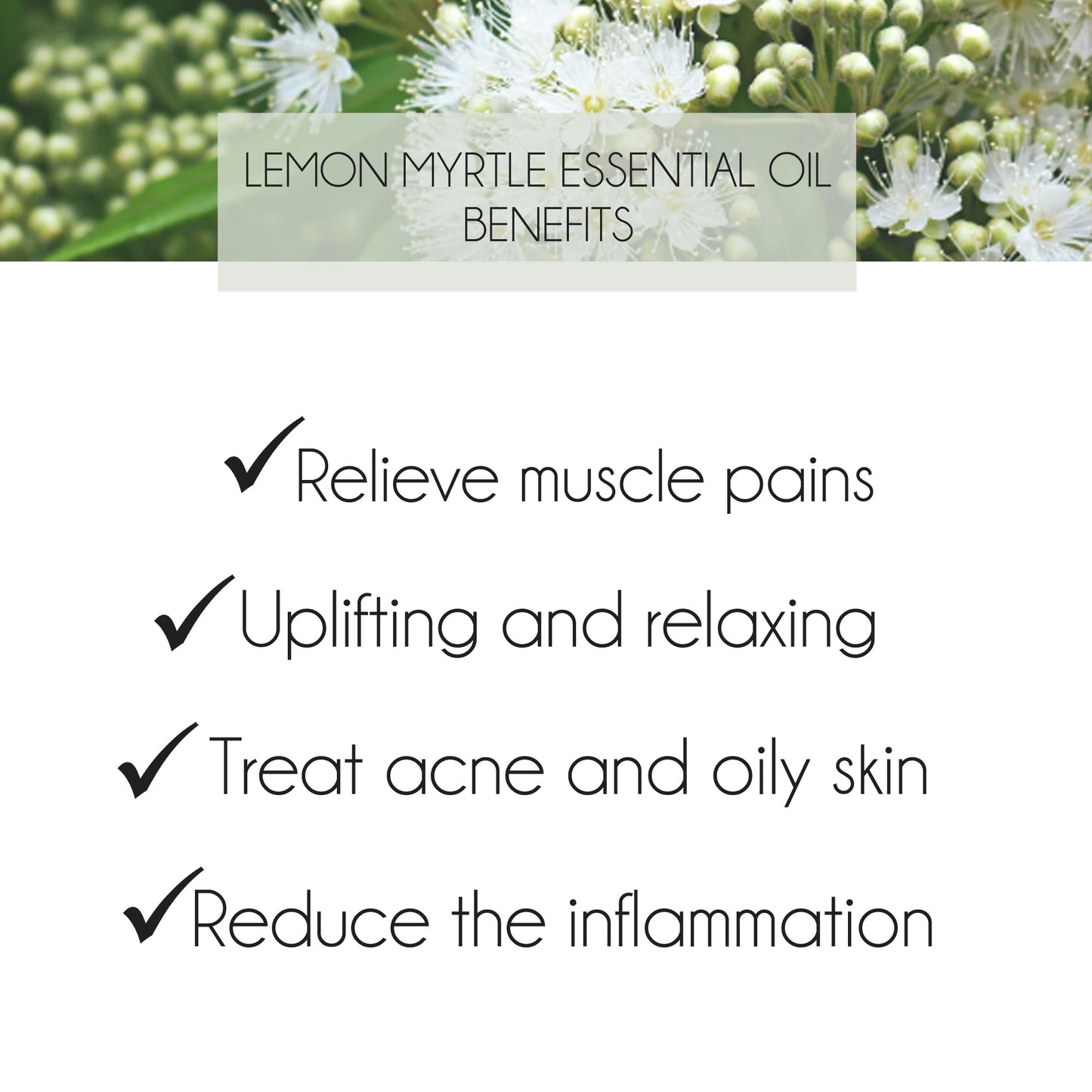 Australian Lemon Myrtle Essential Oil 10ml