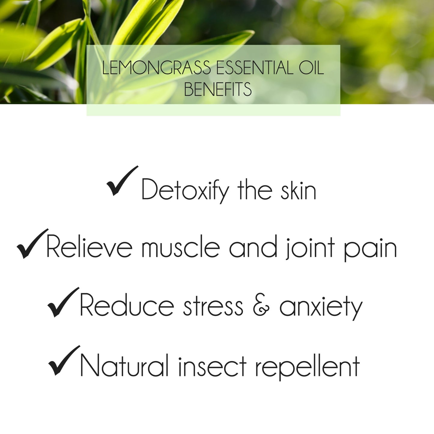 Lemongrass Essential Oil 10ml