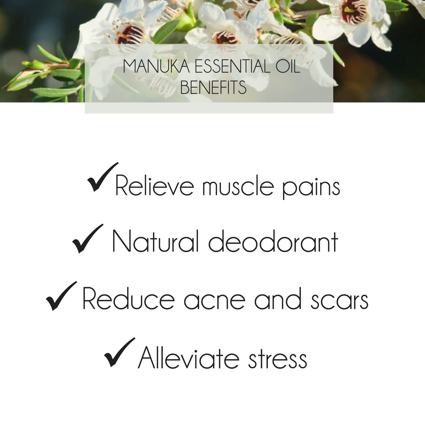 Manuka Essential Oil 10ml
