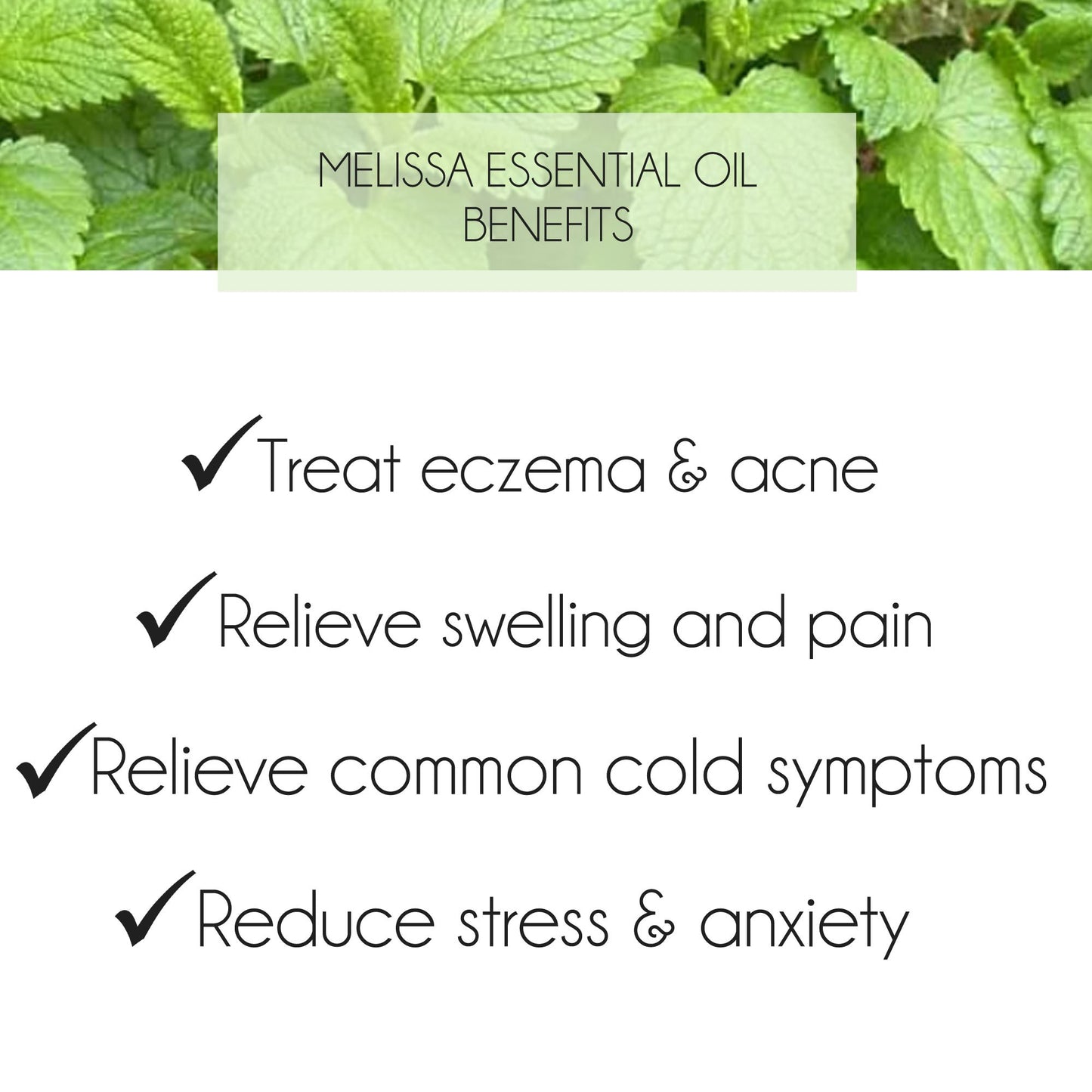 Melissa Essential Oil 10ml