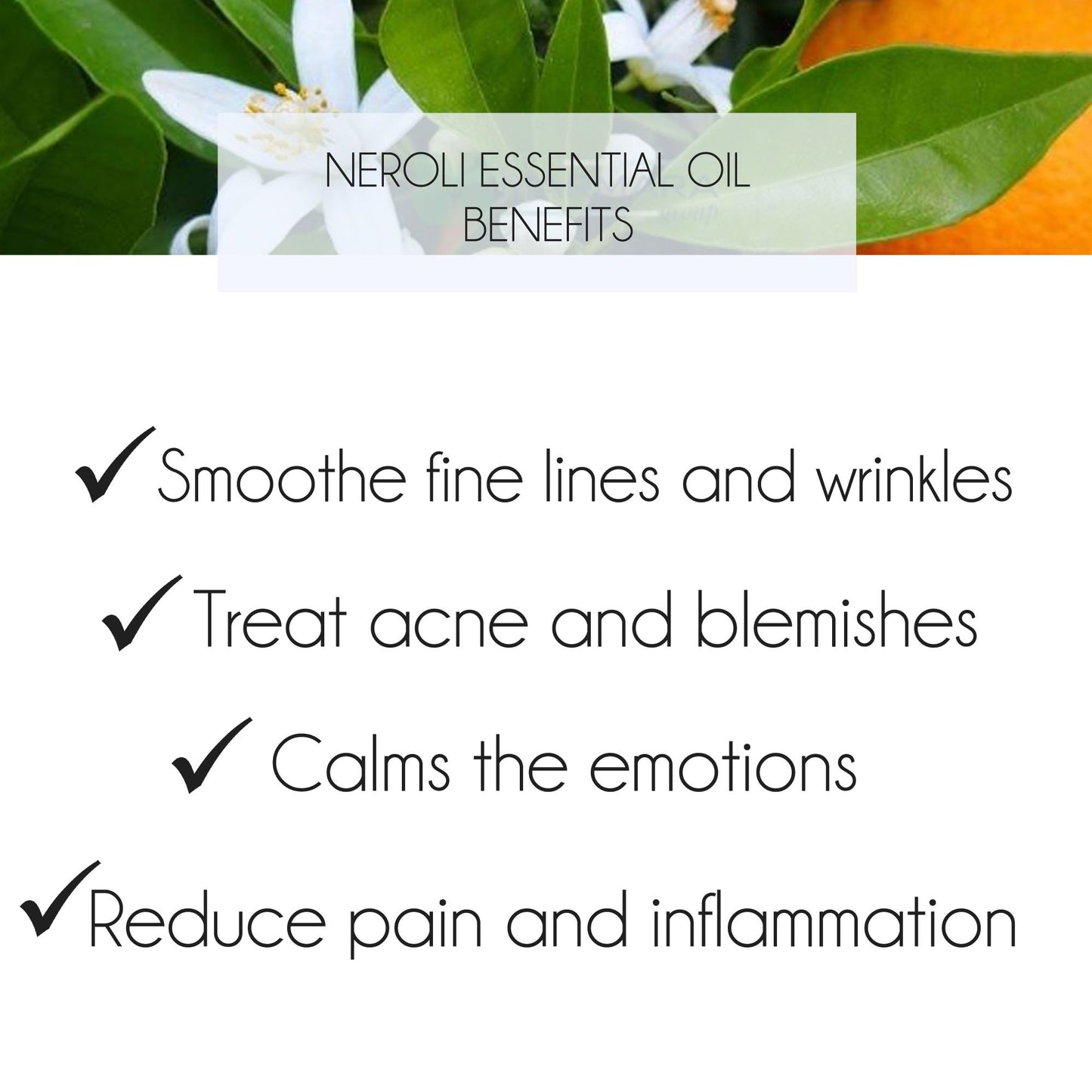 Neroli Essential Oil 10ml