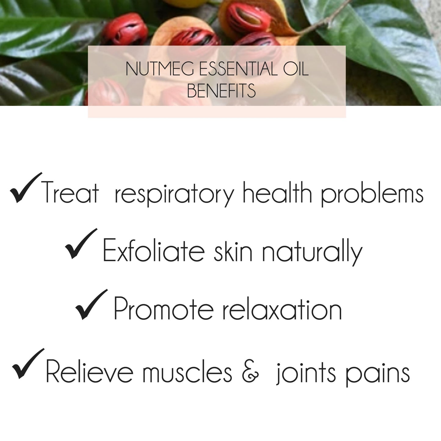 Nutmeg Essential Oil 10ml