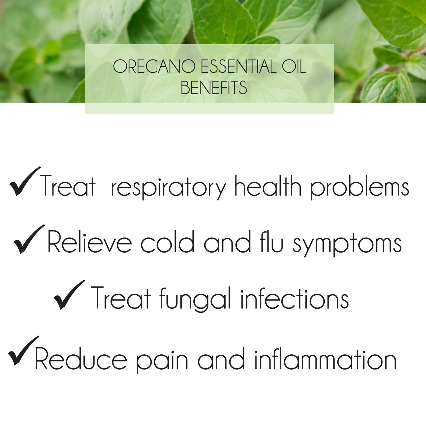 Oregano Essential Oil 10ml