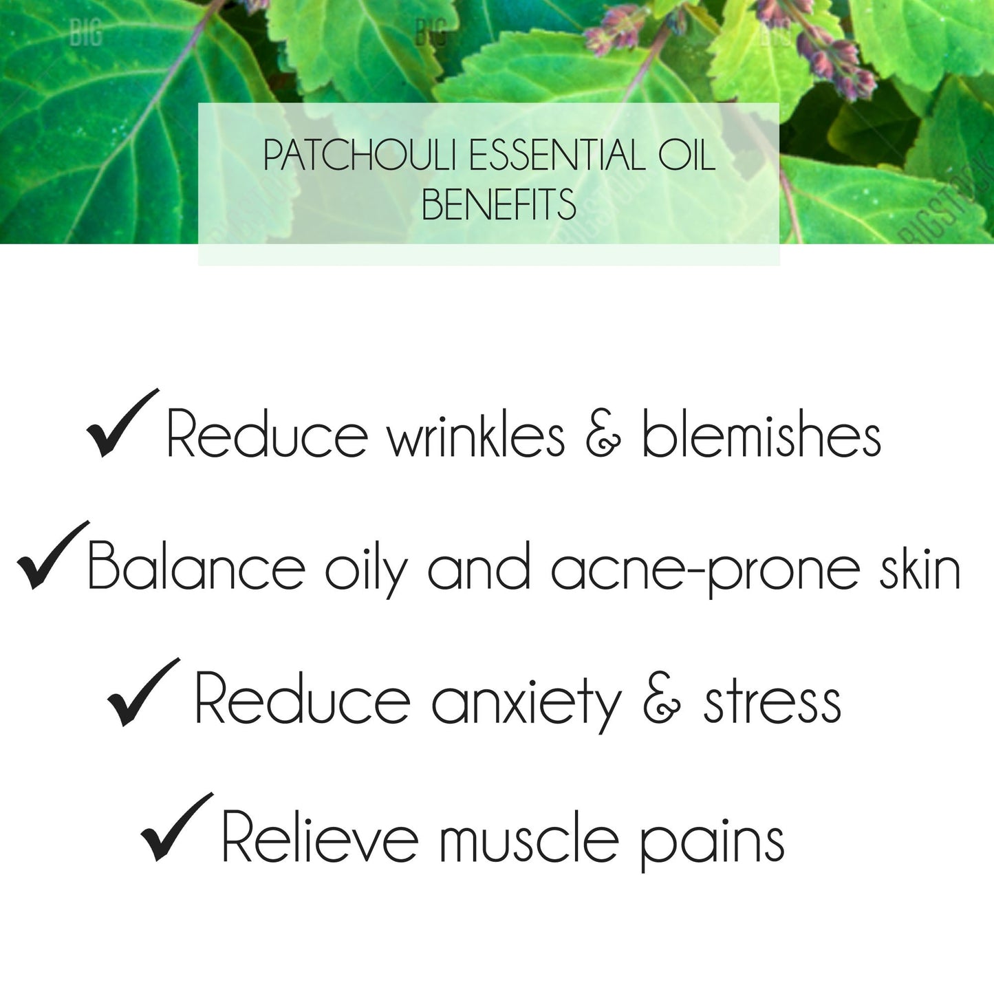 Patchouli Essential Oil 10ml