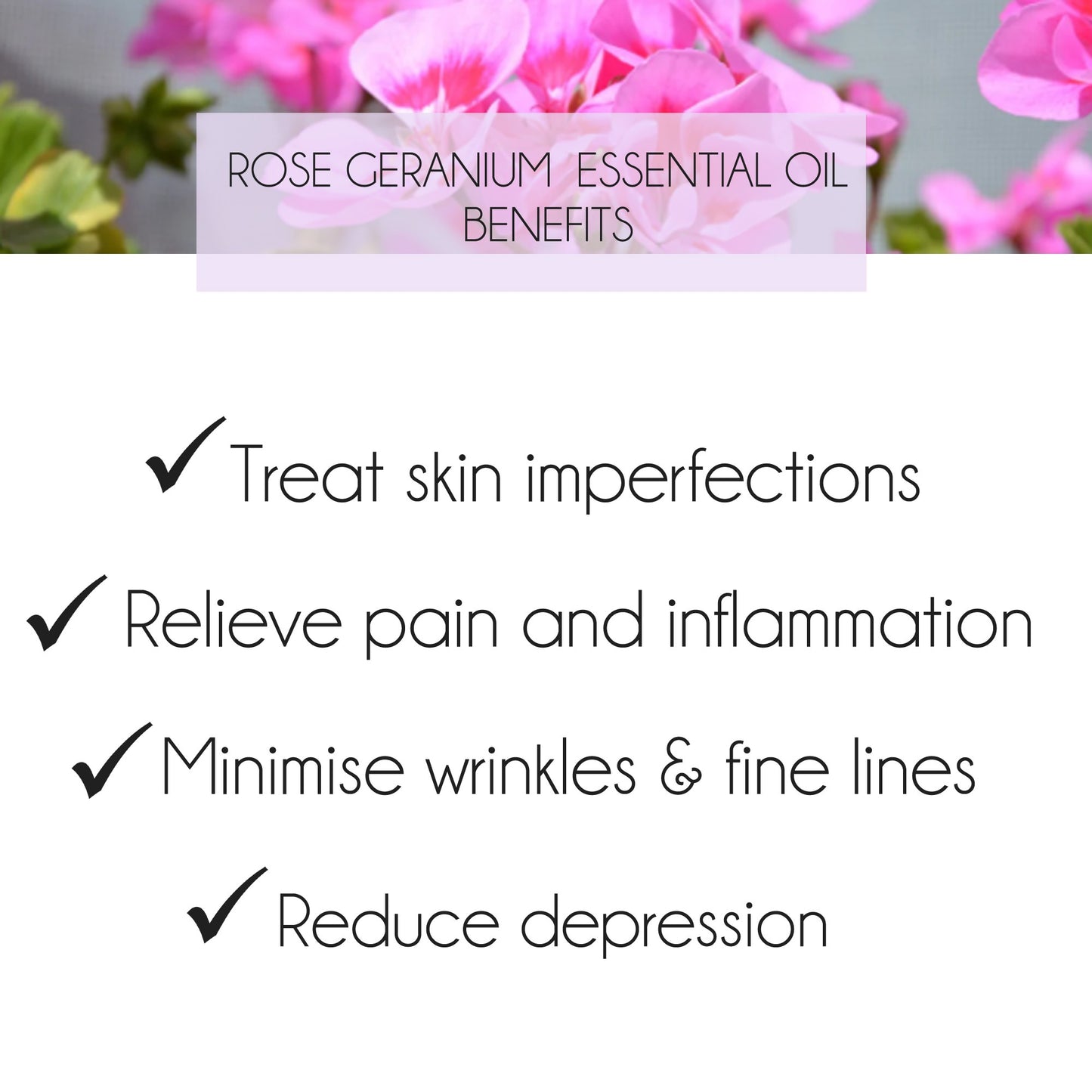 Rose Geranium Essential Oil 10ml