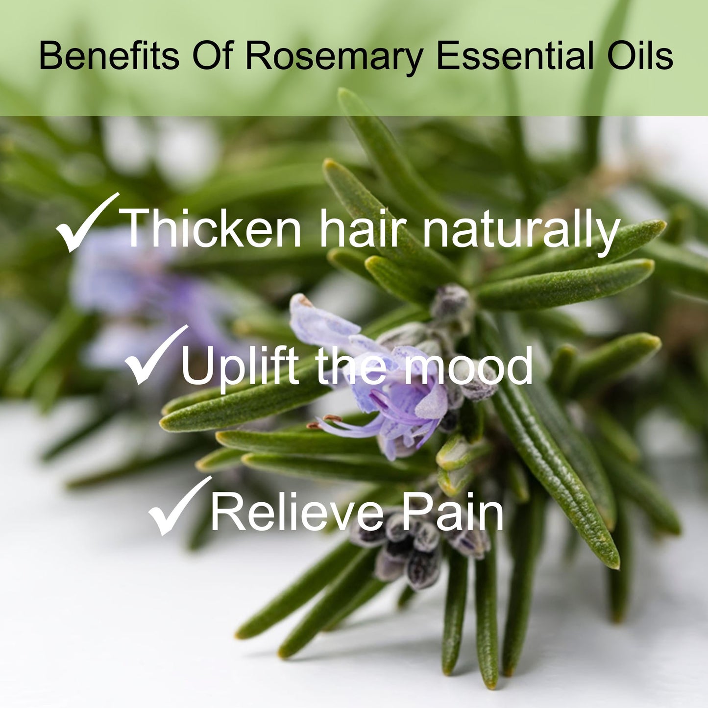 Rosemary Essential Oil 10ml