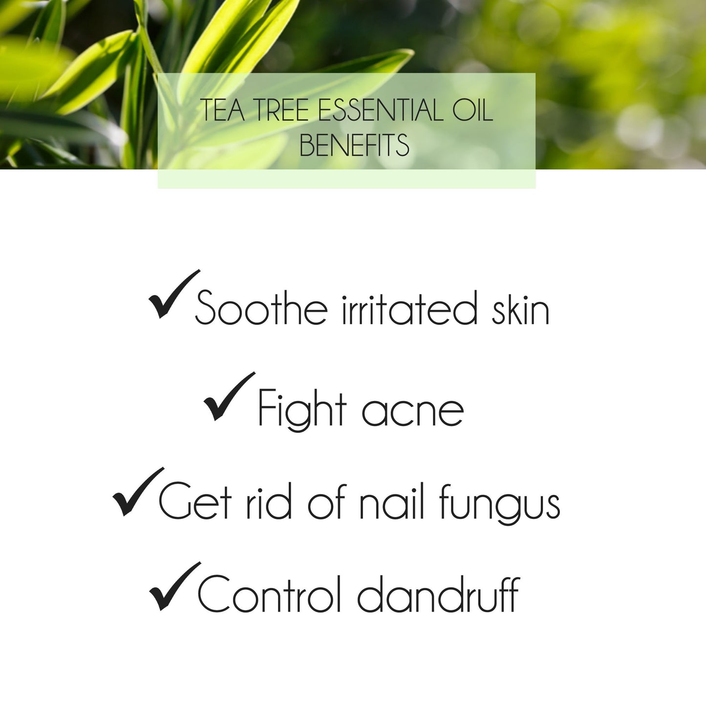 Tea Tree Essential Oil 10ml