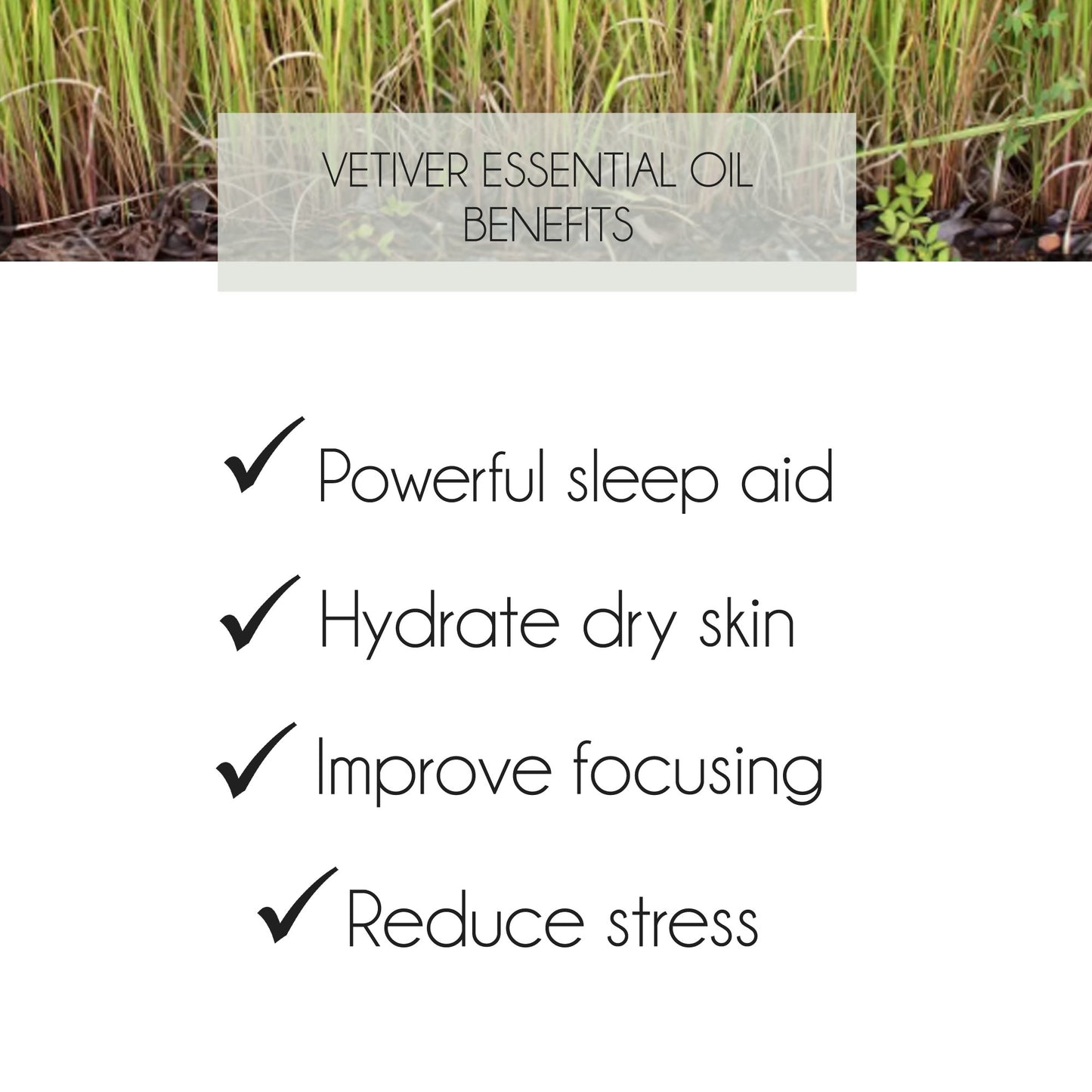 Vetiver Essential Oil 10ml