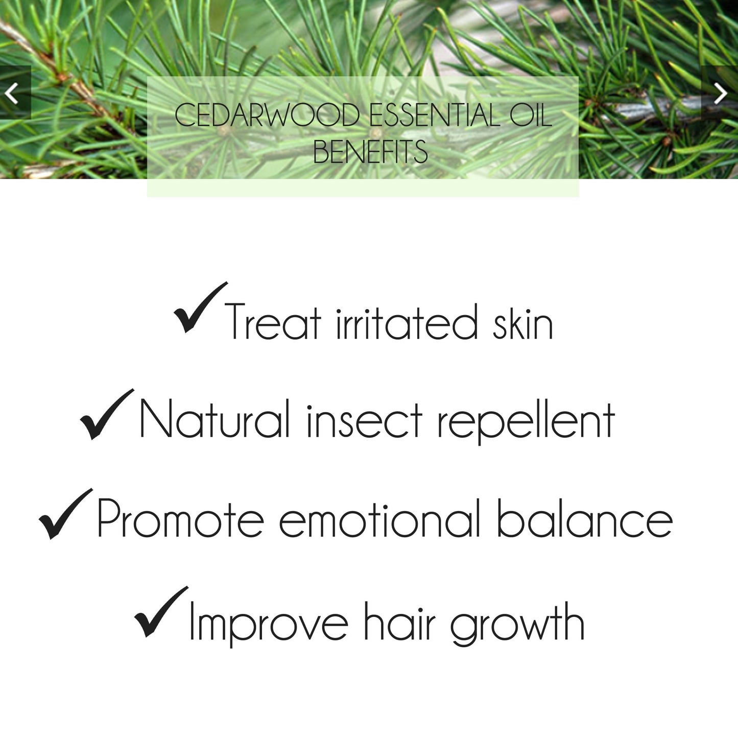 Cedarwood Essential Oil 10ml