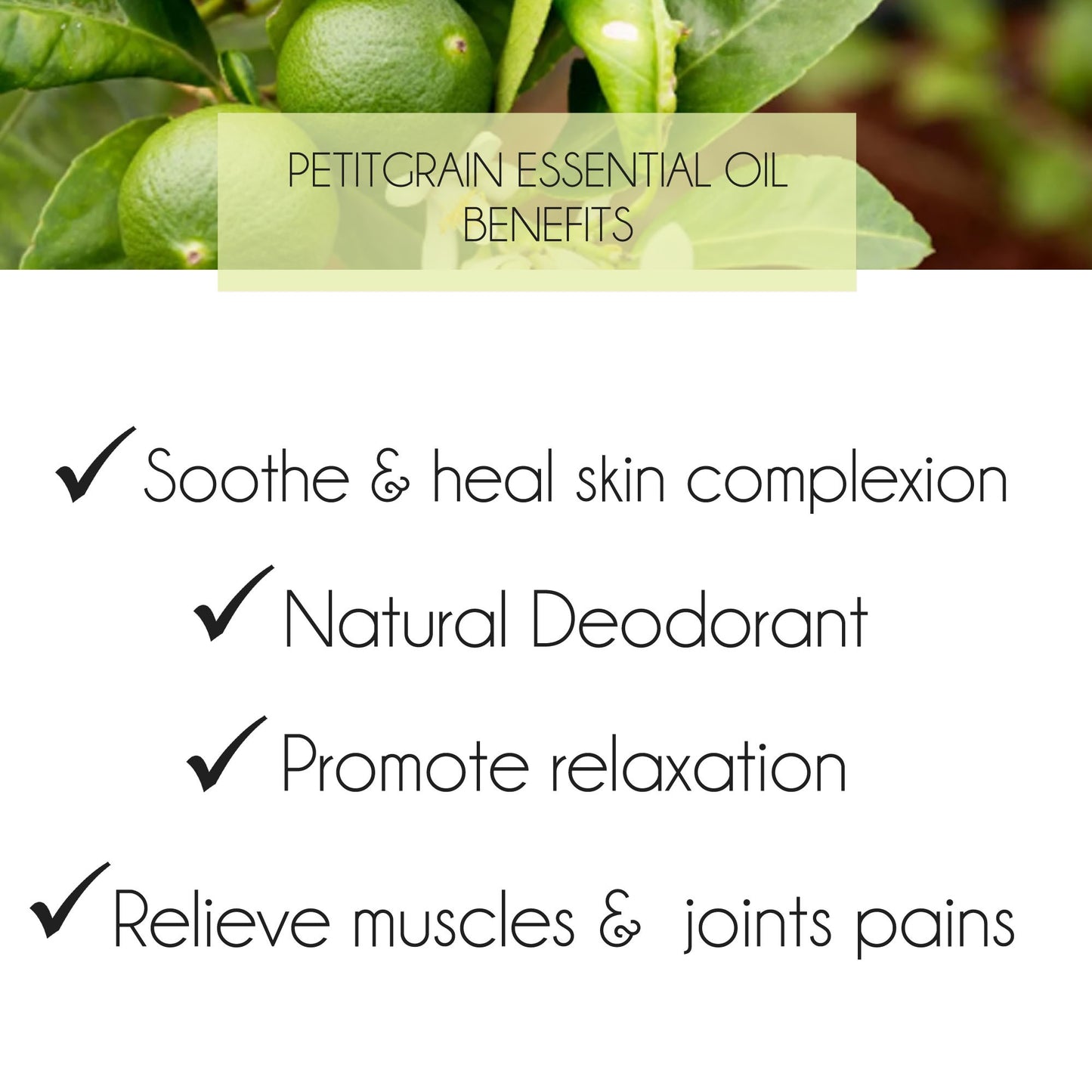 Petitgrain Essential Oil 10ml. Bitter Oranges