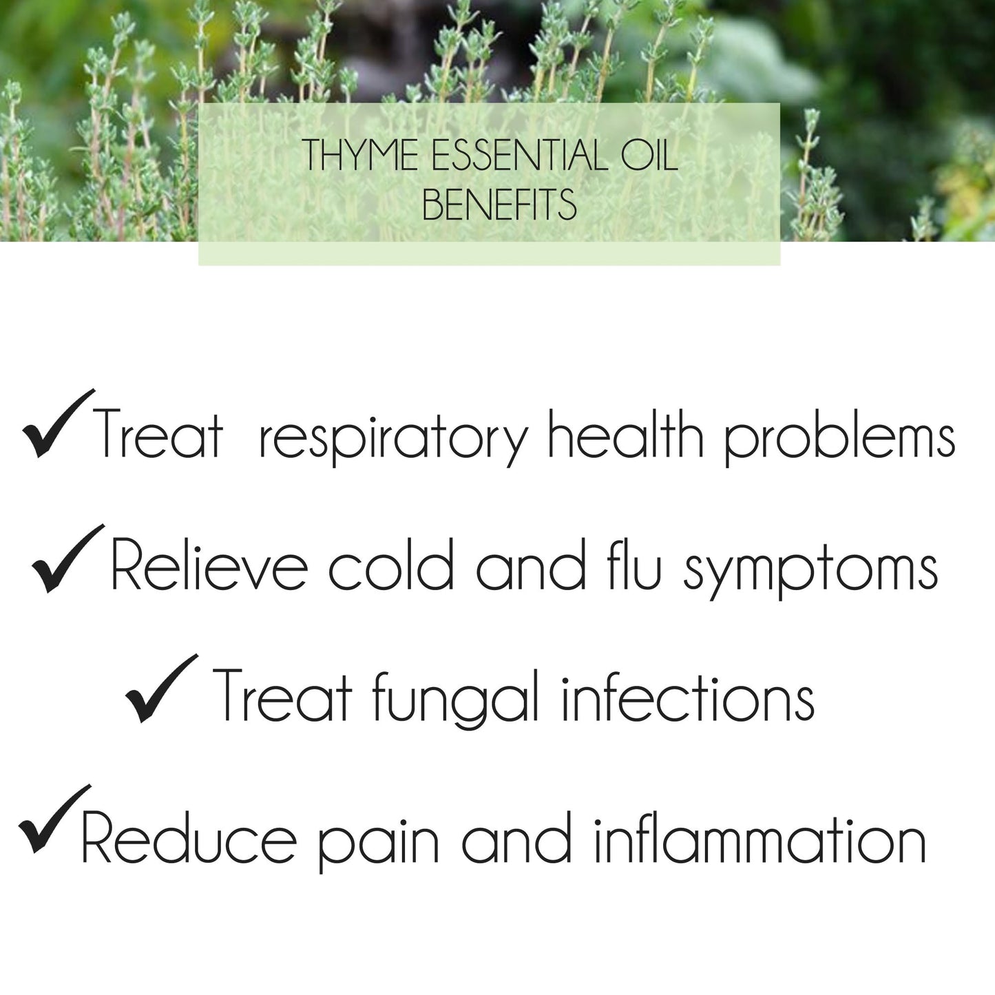 Thyme Essential Oil 10ml