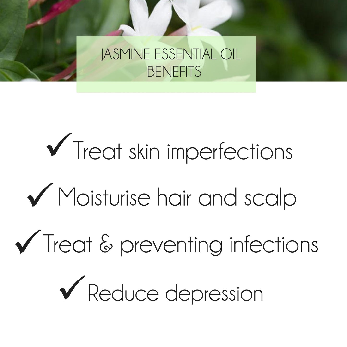 Jasmine Absolute Essential Oil 3% 10ml