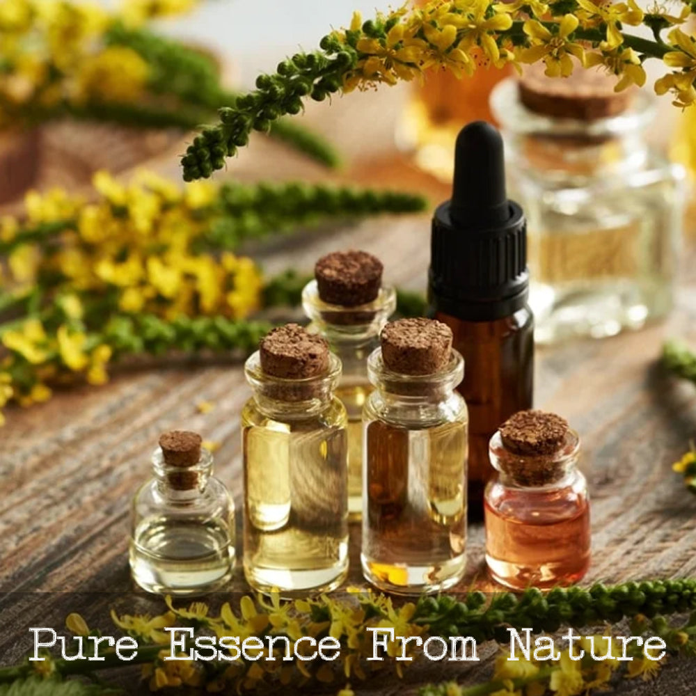 Pure Aniseed Essential Oil 10ml. Fish Attracting Oil