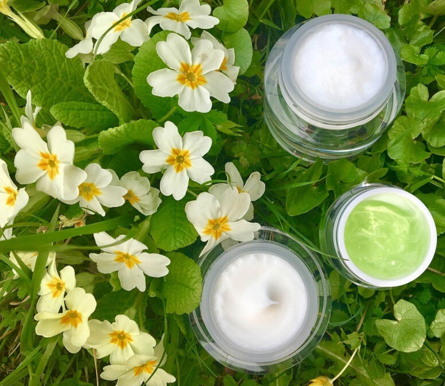 Organic Bulgarian Rose Water Hydrosol | Natural Facial Toner