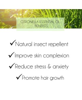 Citronella Essential Oil 10ml