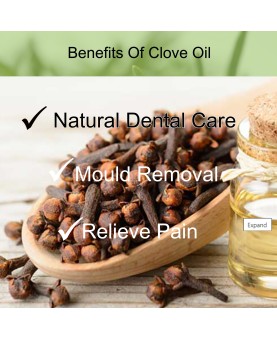 Clove Bud Essential Oil 10ml. Oil Of Cloves For Toothache, Mould Removal