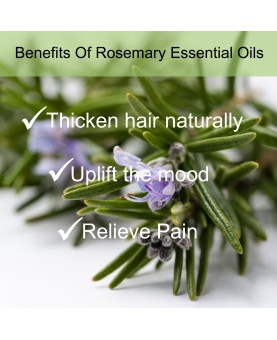 Rosemary Essential Oil 10ml