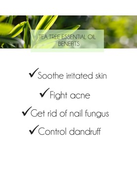 Tea Tree Essential Oil 10ml