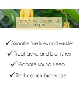 Ylang Ylang Essential Oil 10ml