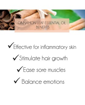 Cinnamon Leaf Essential Oil 10ml