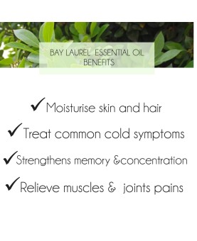 Bay Laurel Essential Oil 10ml. Laurus nobilis