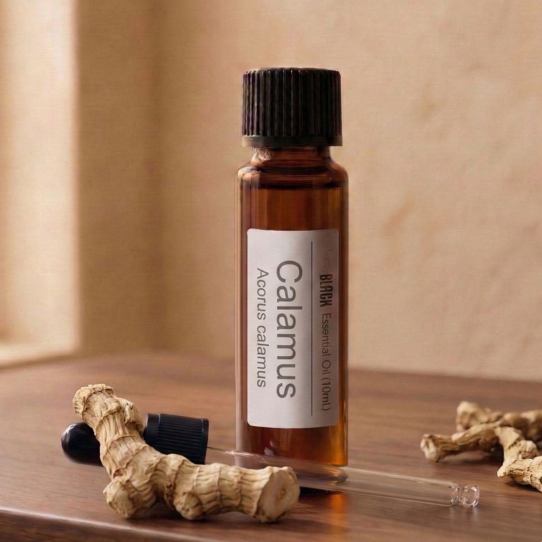 Unlocking the Benefits of Sweet Calamus Essential Oil for Meditation & Wellness