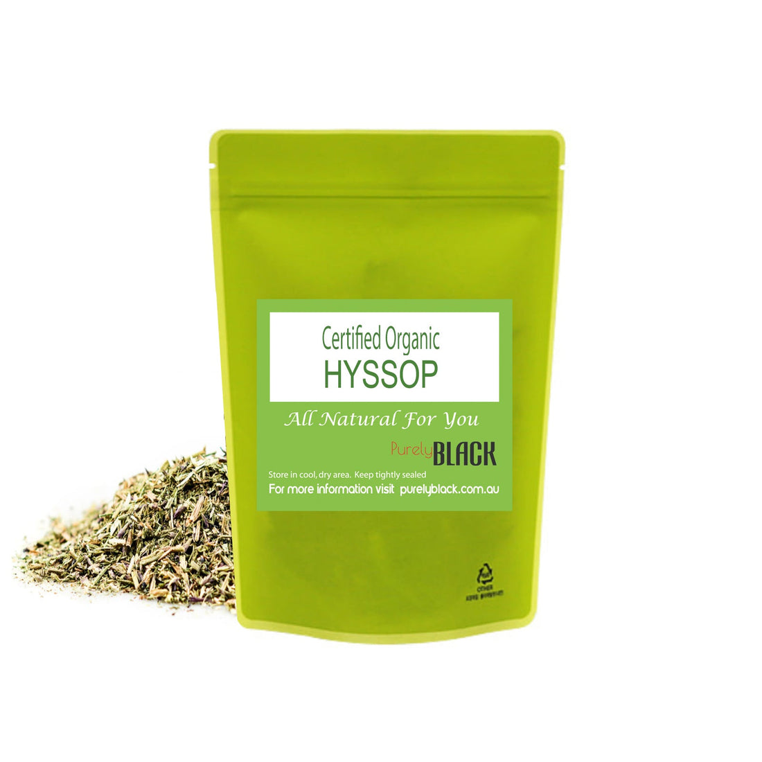 yssop plant Hyssopus officinalis