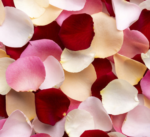 LV ROSE DES VENTS Perfume Review: Notes, Longevity & Scent Profile
