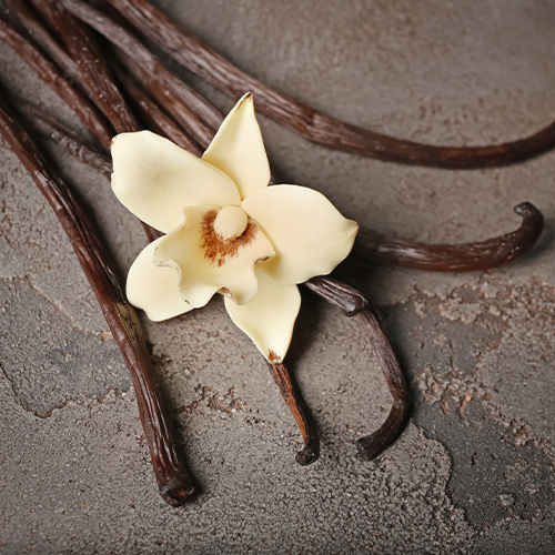 A 10ml glass bottle of pure Vanilla CO2 extract alongside fresh vanilla beans and a DIY perfume roller bottle.