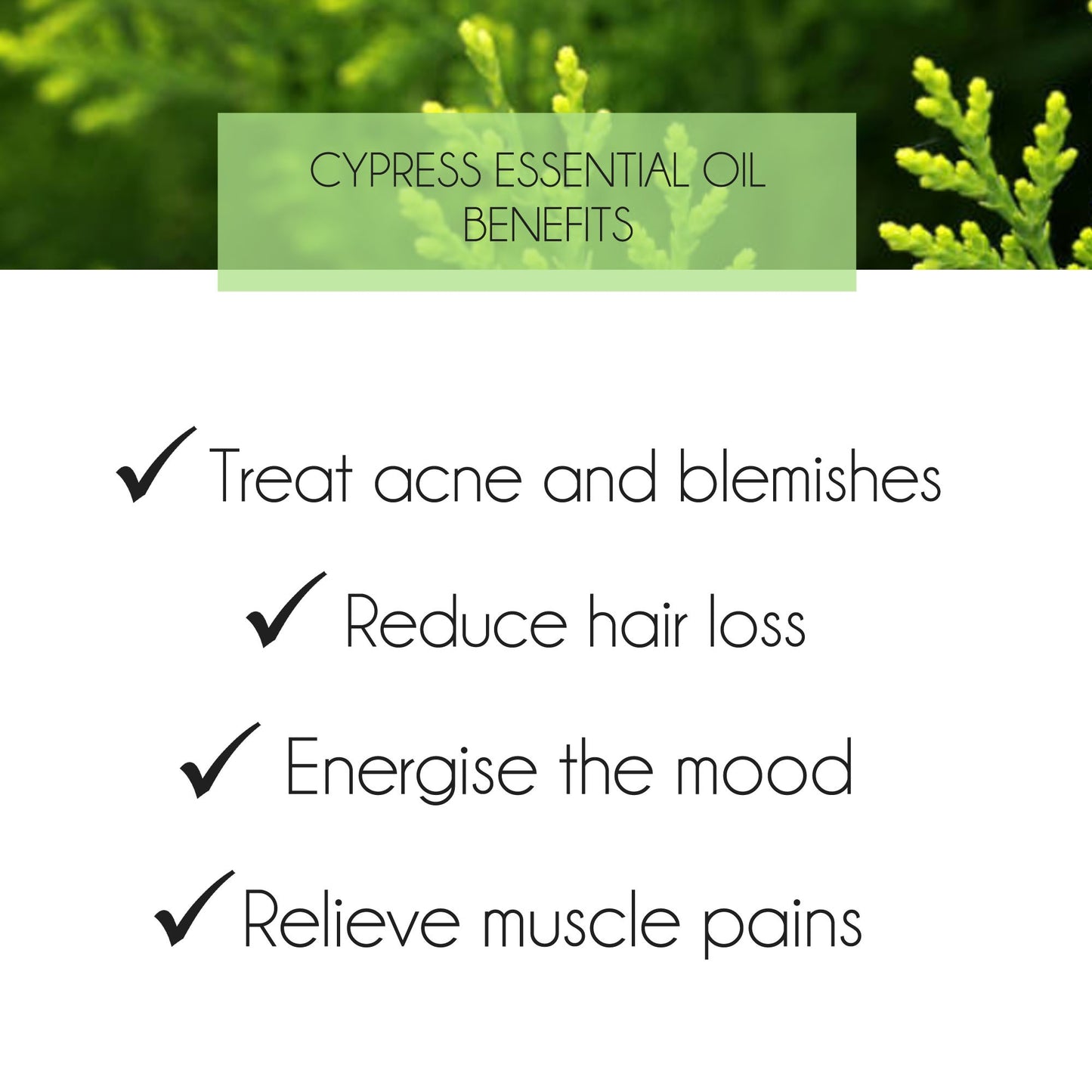 Cypress Essential Oil 10ml