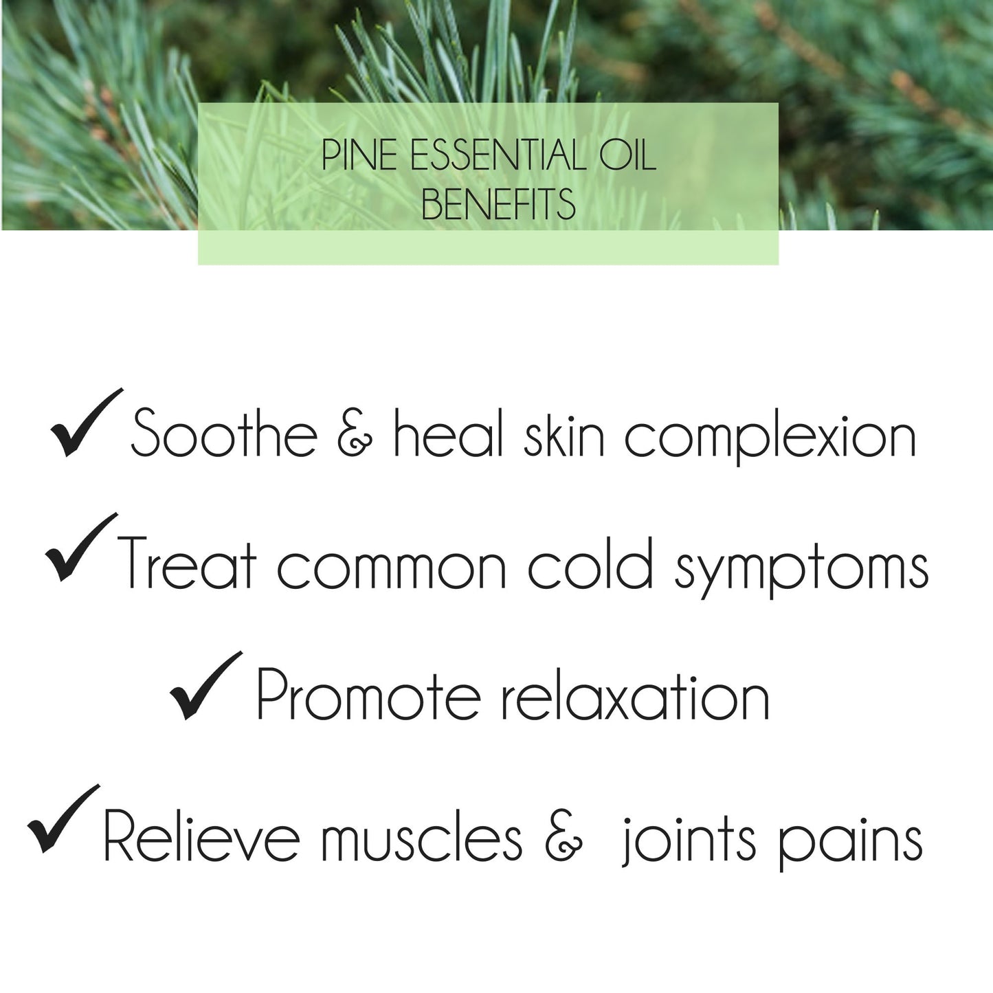 Pine Essential Oil 10ml