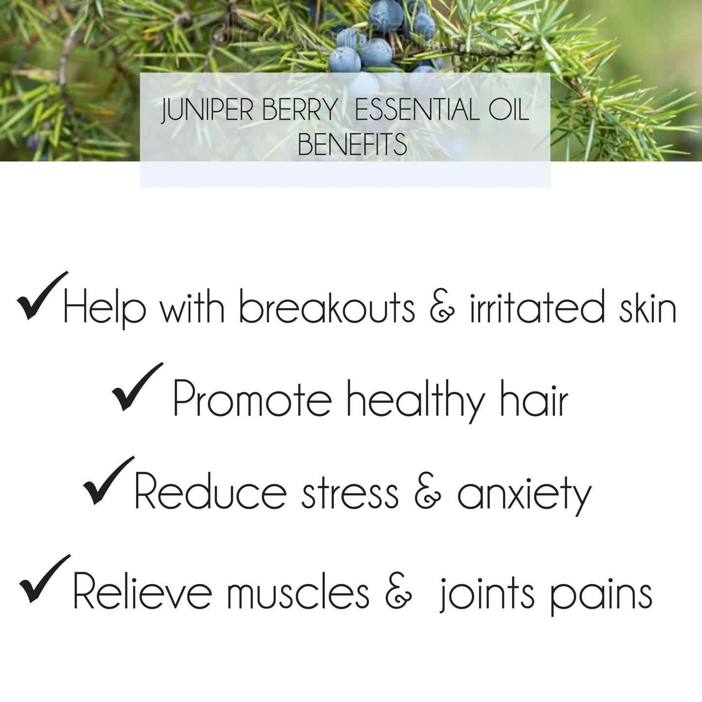 Juniper Berry Essential Oil 10ml