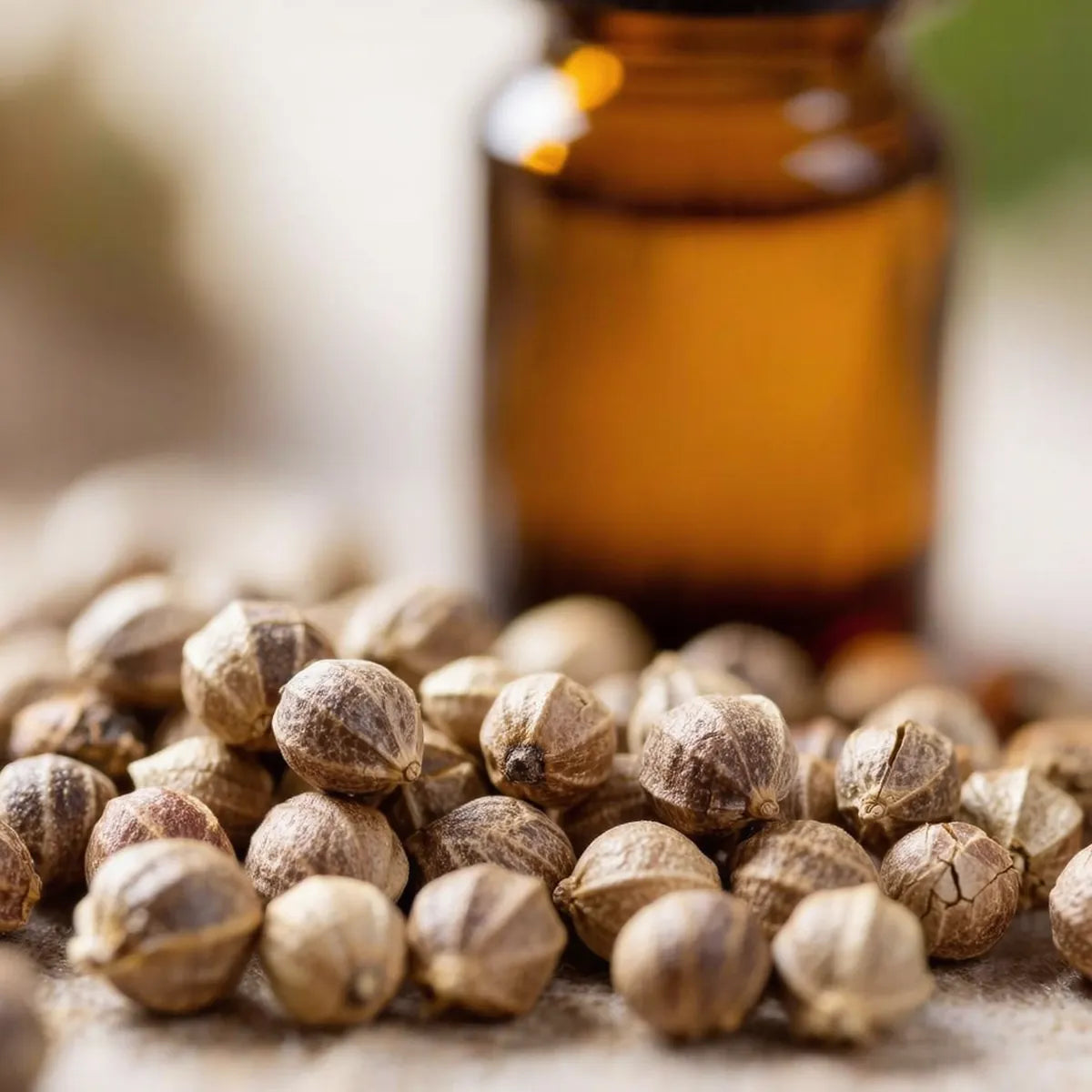 pure black pepper essential oil