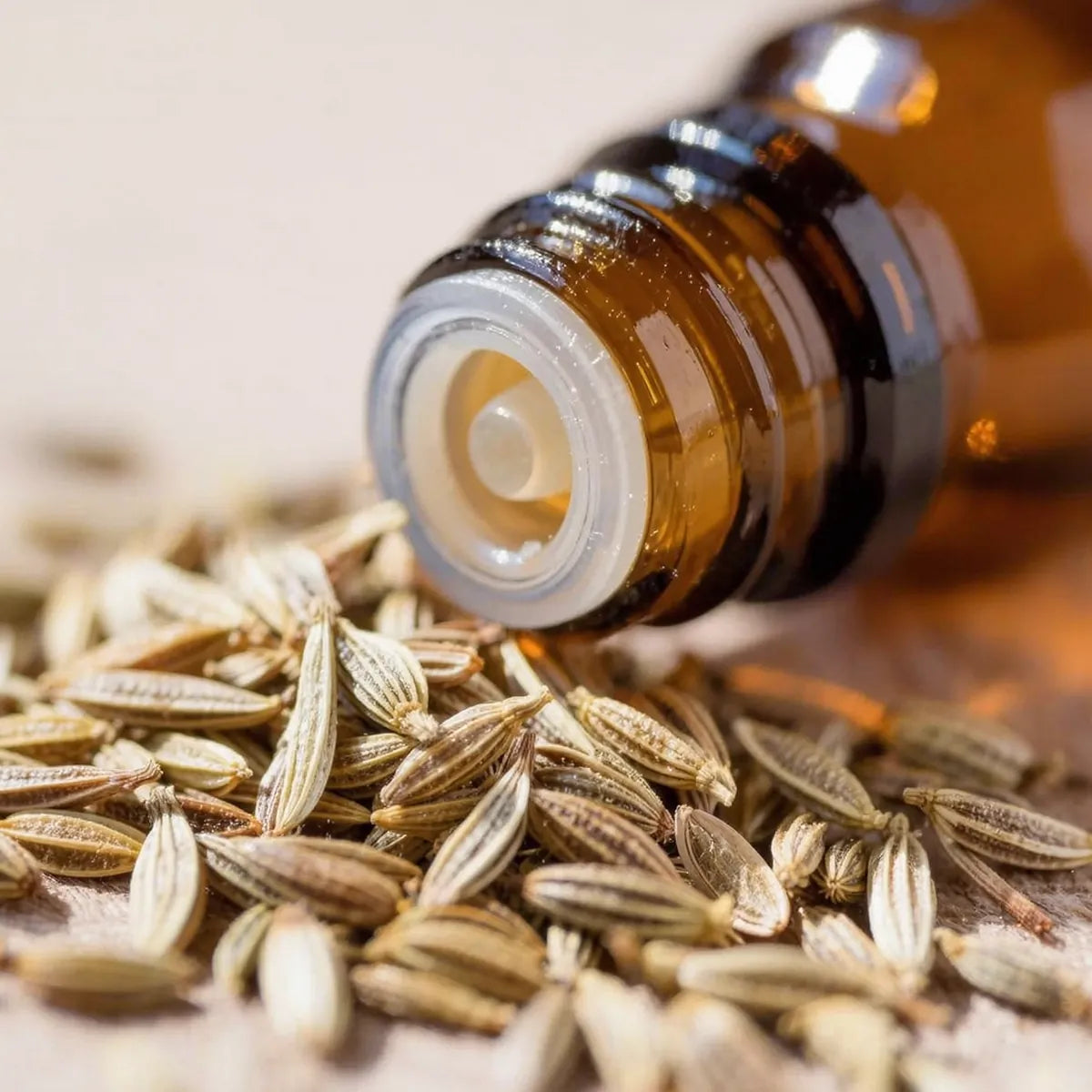 pure caraway essential oil