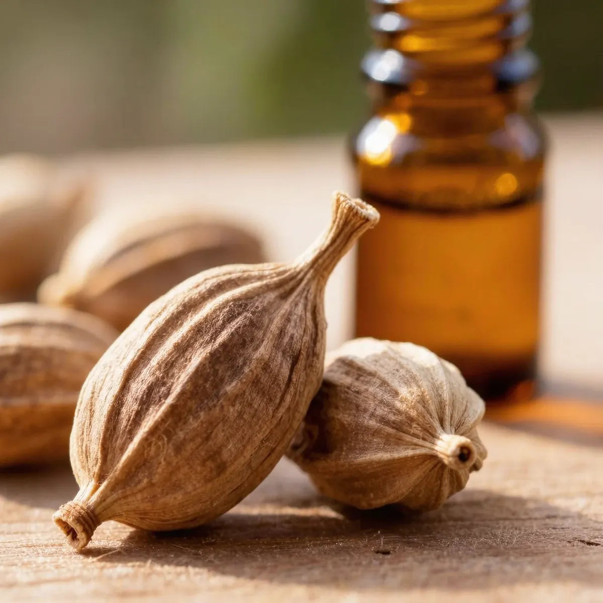 pure cardamom essential oil
