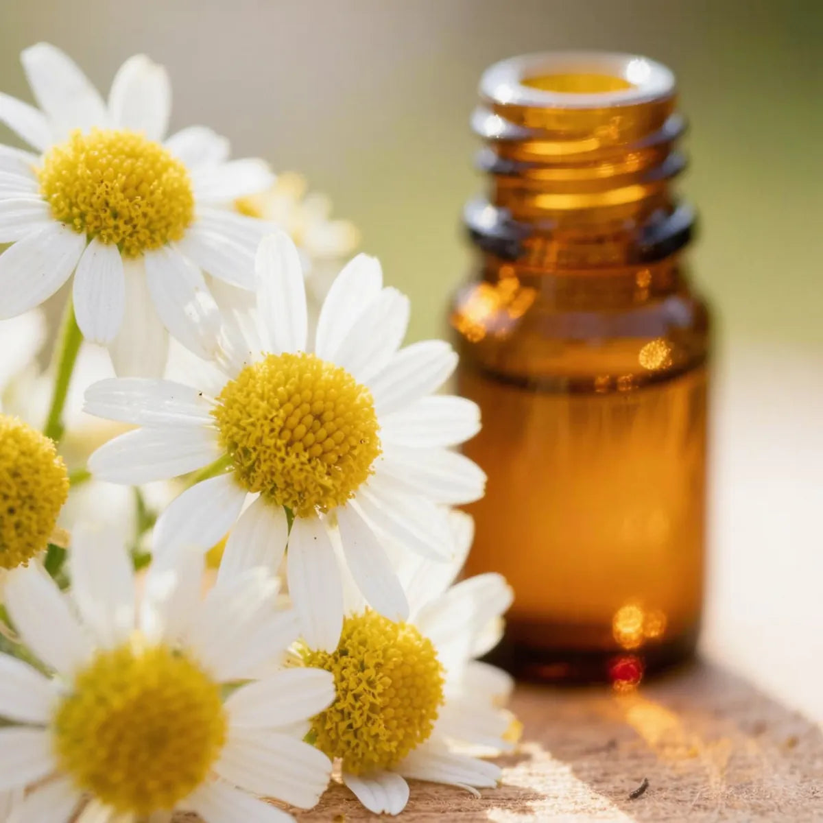 pure chamomile essential oil