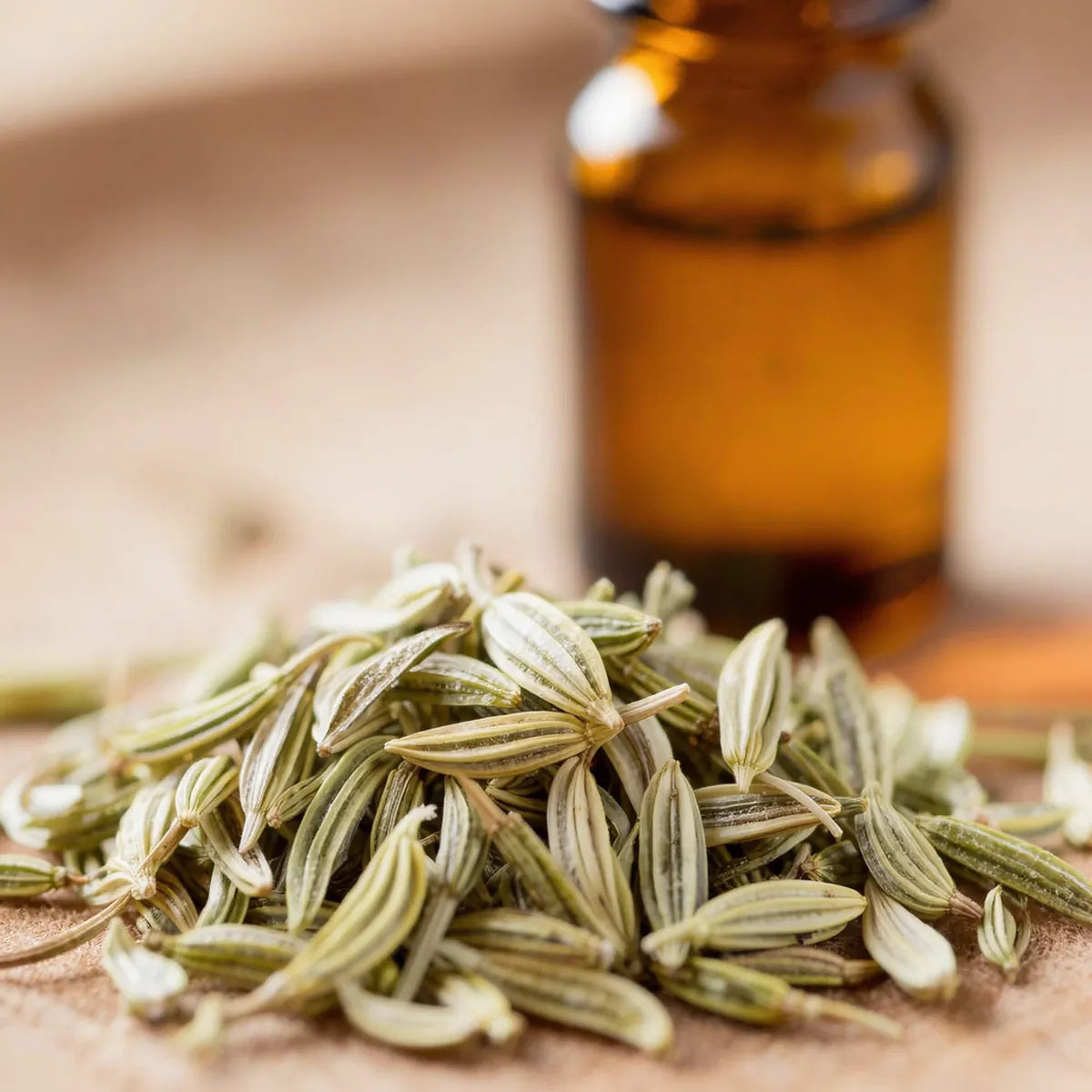 pure fennel essential oil