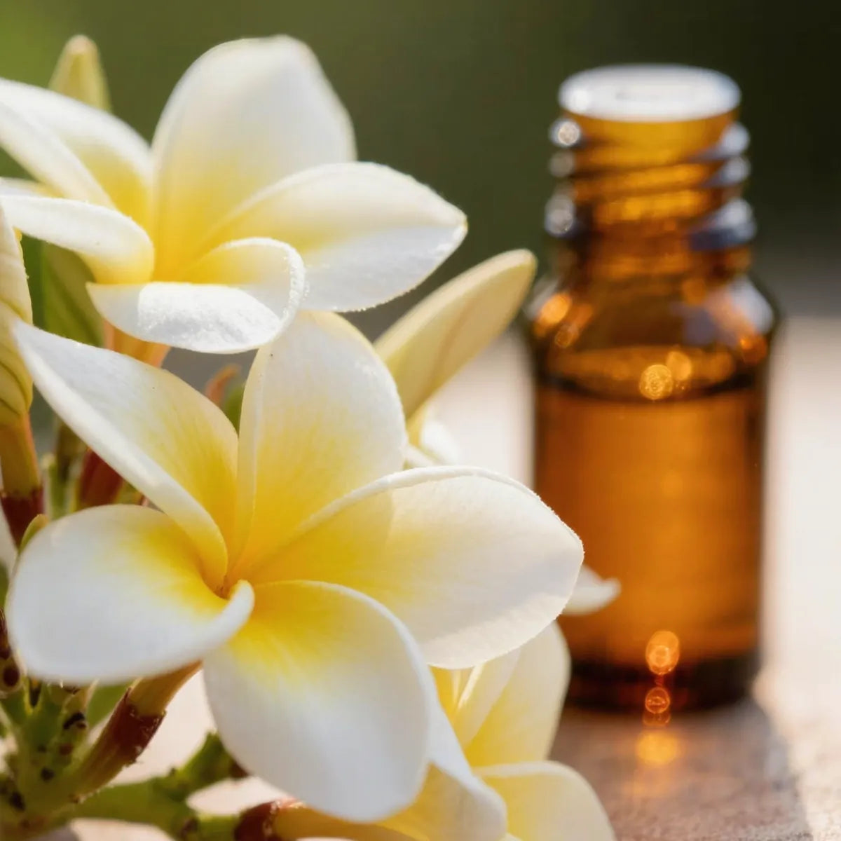 pure frangipani essential oil