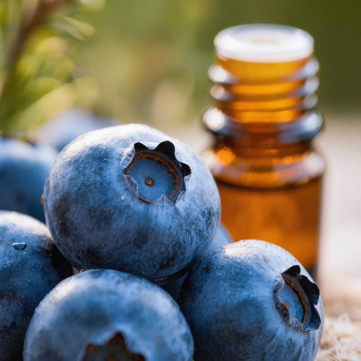 pure juniper berry essential oil