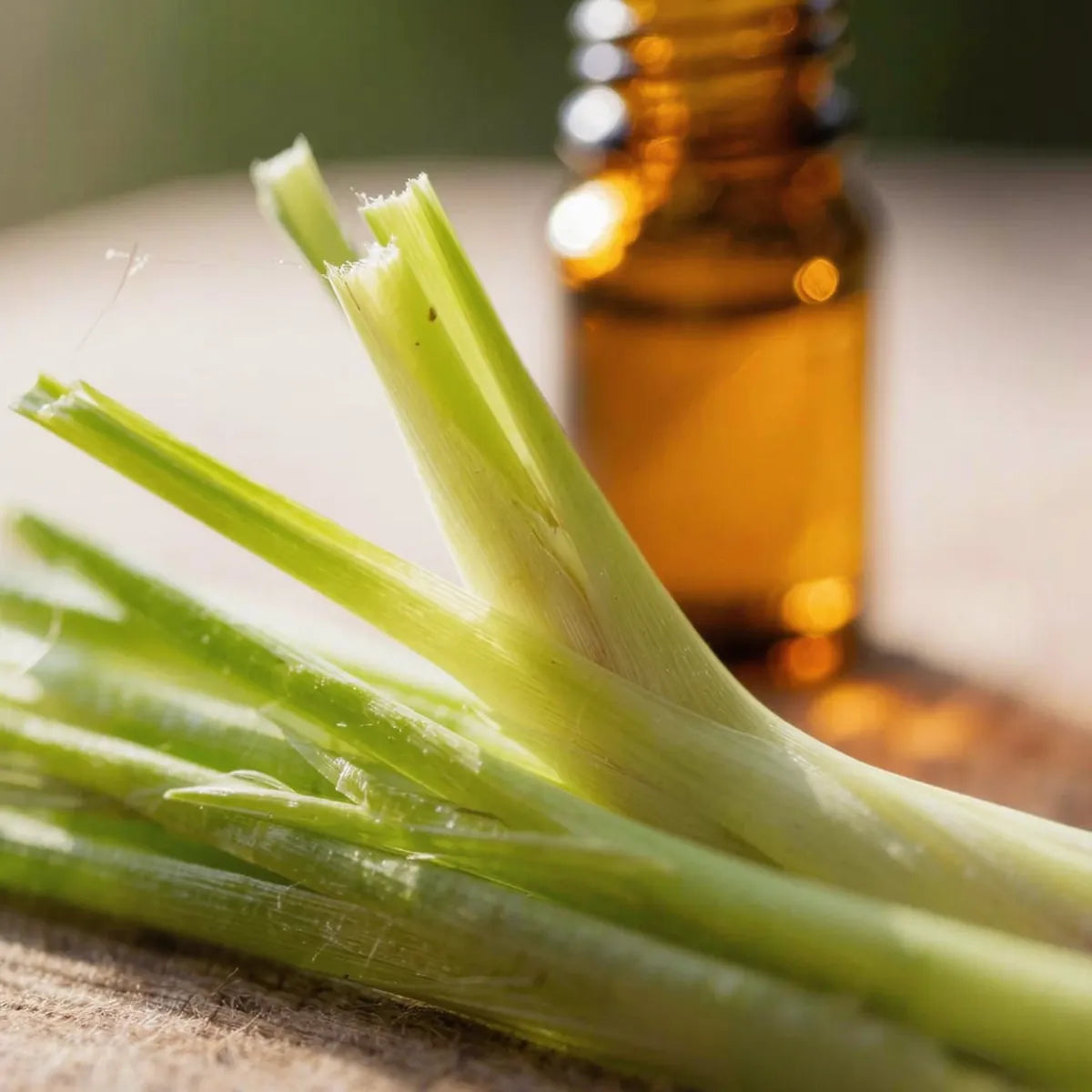 pure lemongrass essential oil