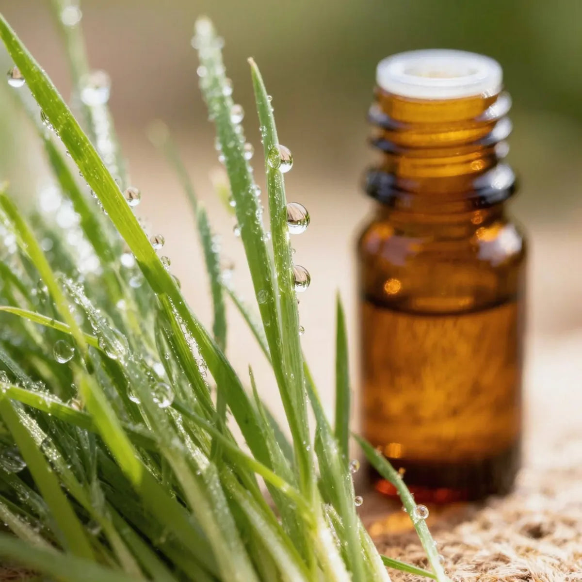 pure palmarosa essential oil