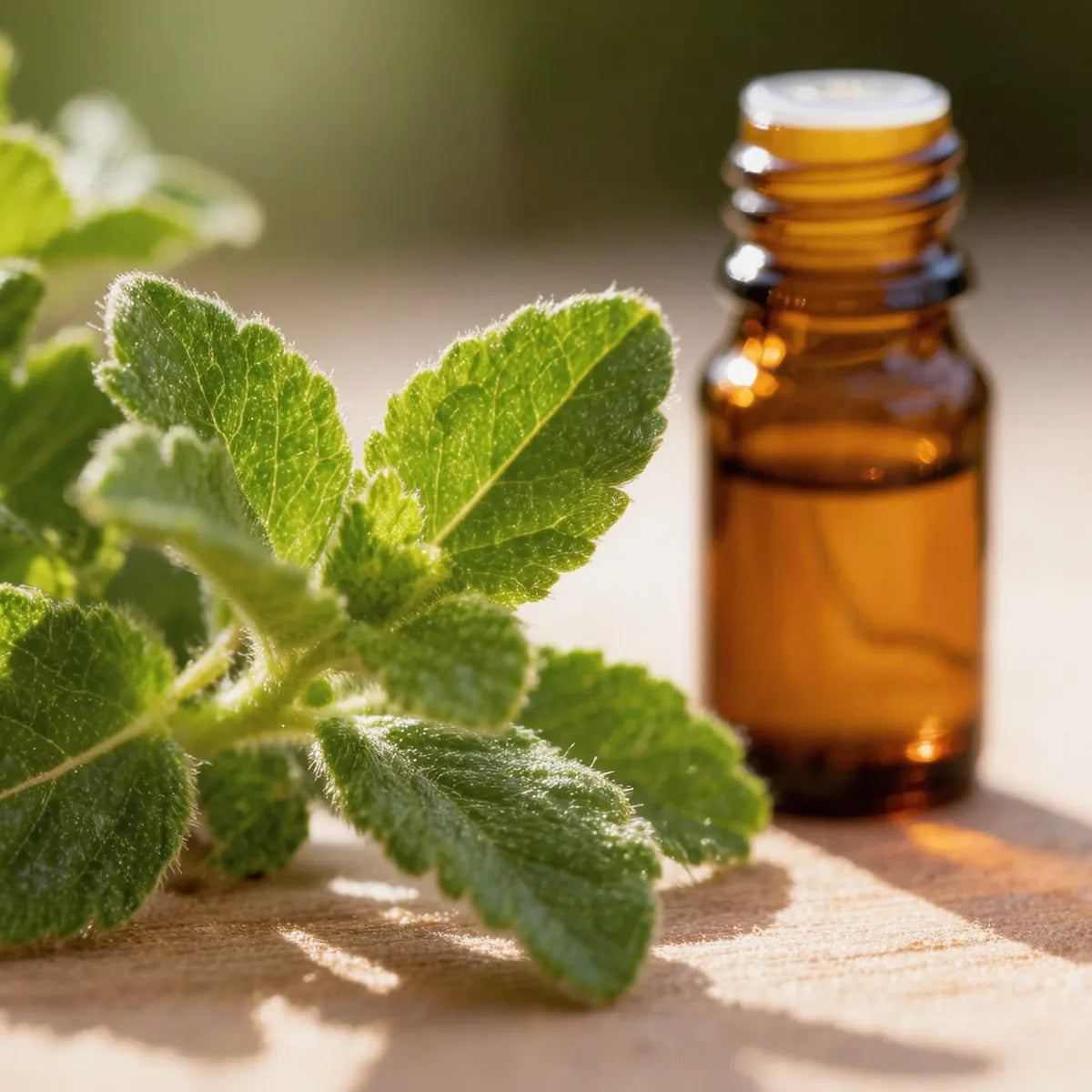 pure petitgrain essential oil